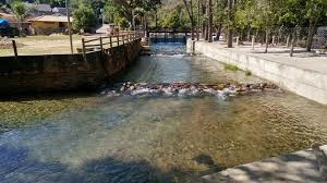 Camping Esplanada