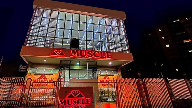 Muscle Training