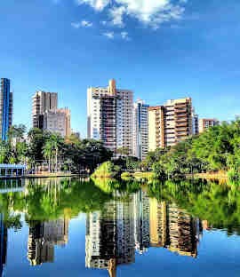 Bosque dos Buritis