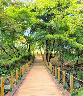 Parque Bernardo Élis