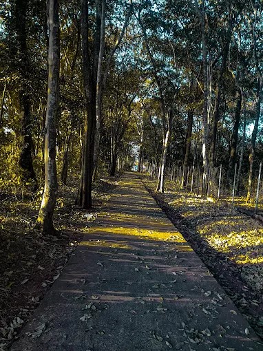 Parque Municipal Brisas da Mata – Otávio Lúcio