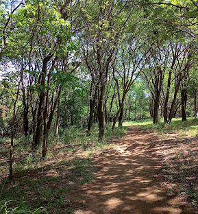 Parque Municipal Fonte Nova