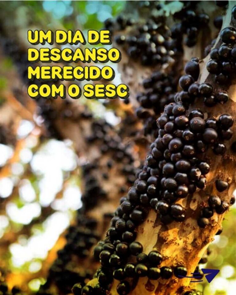 Passeio Fazenda Jabuticabal – Hidrolândia (GO)